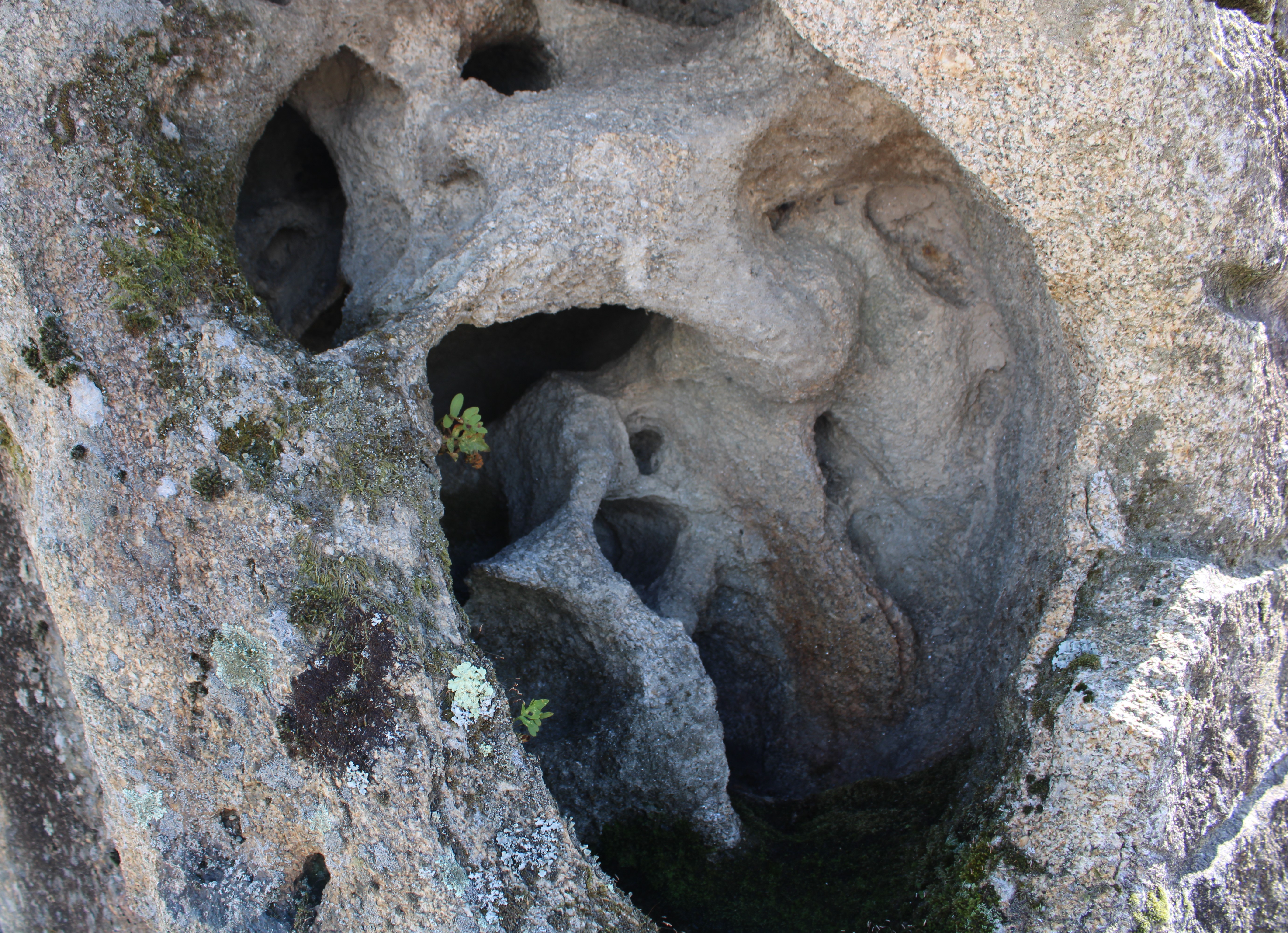 Piedra natural modelo 1 para jardín
