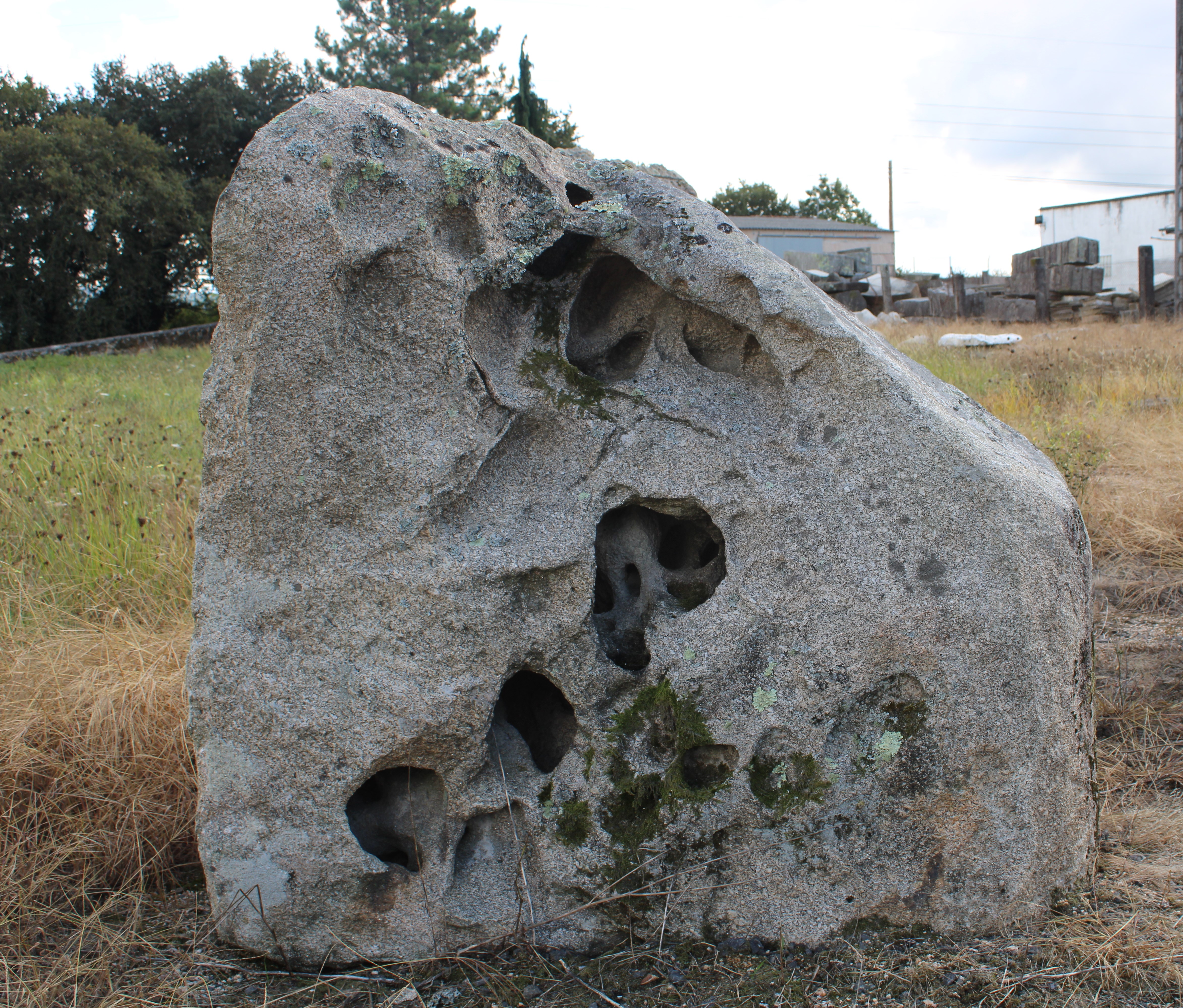 Piedra natural modelo 5 para jardín