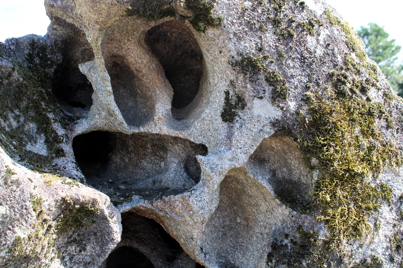 Piedra natural modelo 3 para jardín