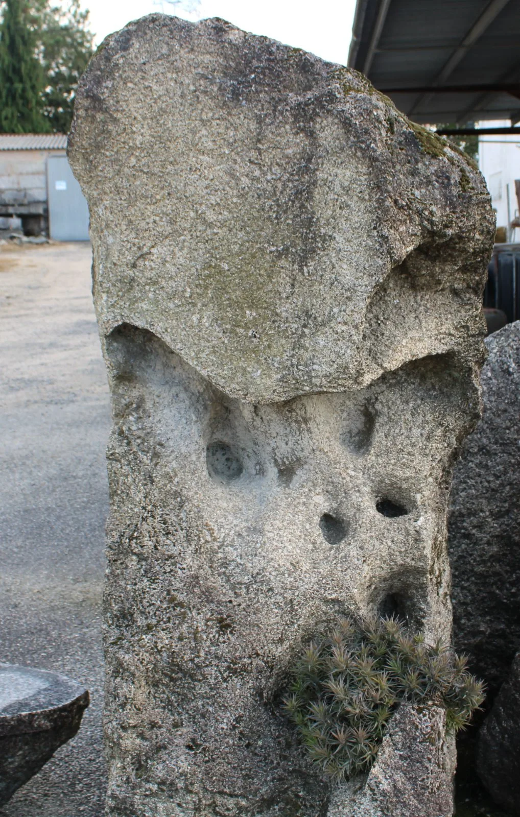 Piedra natural modelo 6 para jardín