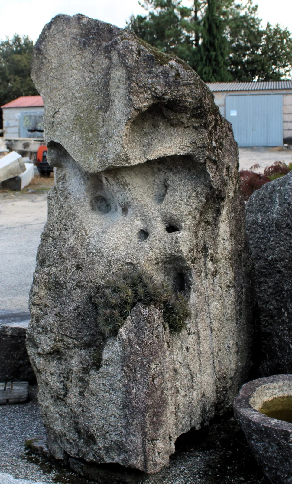 Piedra natural modelo 6 para jardín