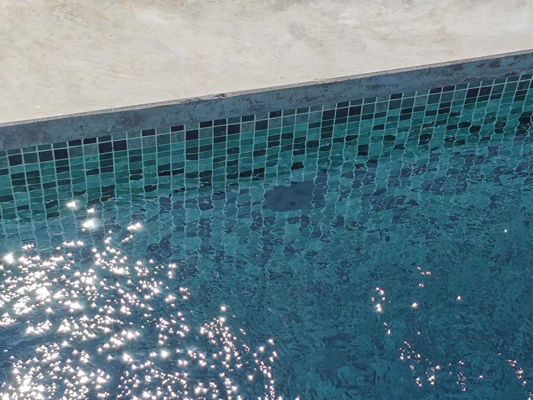 Piscina en Barro