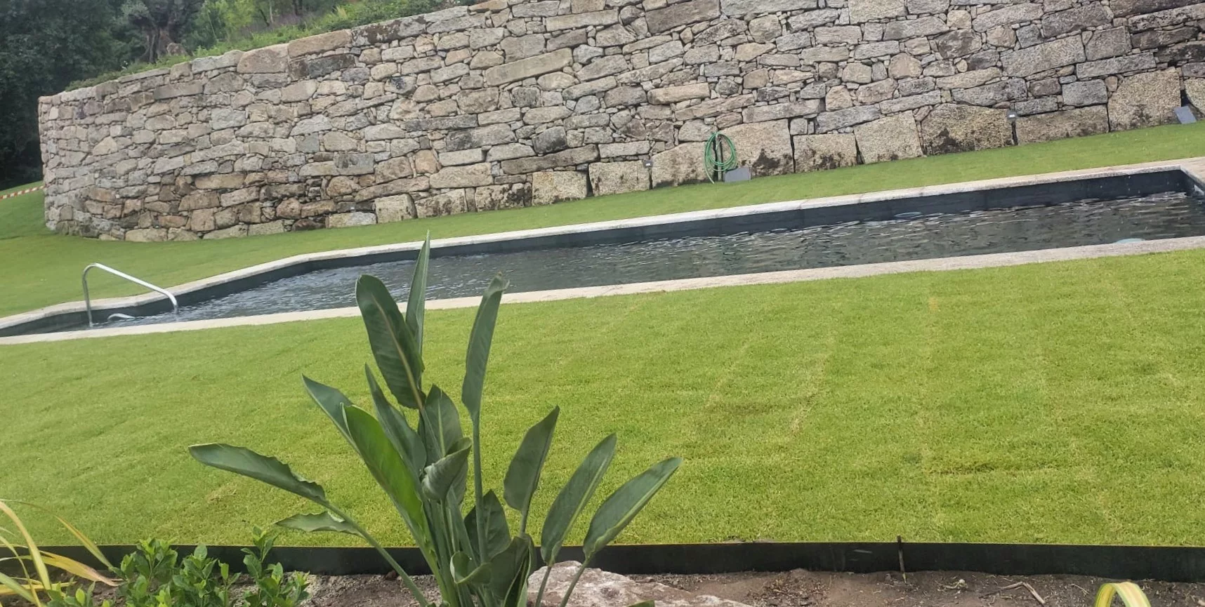 Reforma en Tui